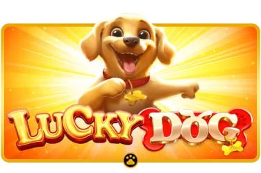Pengalaman Live Casino kaskustoti di berbagai perangkat mobile Indonesia